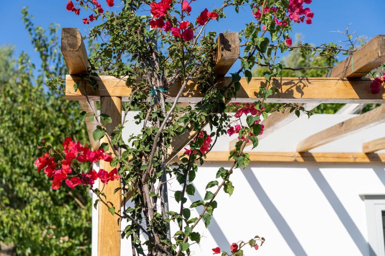 Anassa Cycladic Village Галиссас Экстерьер фото