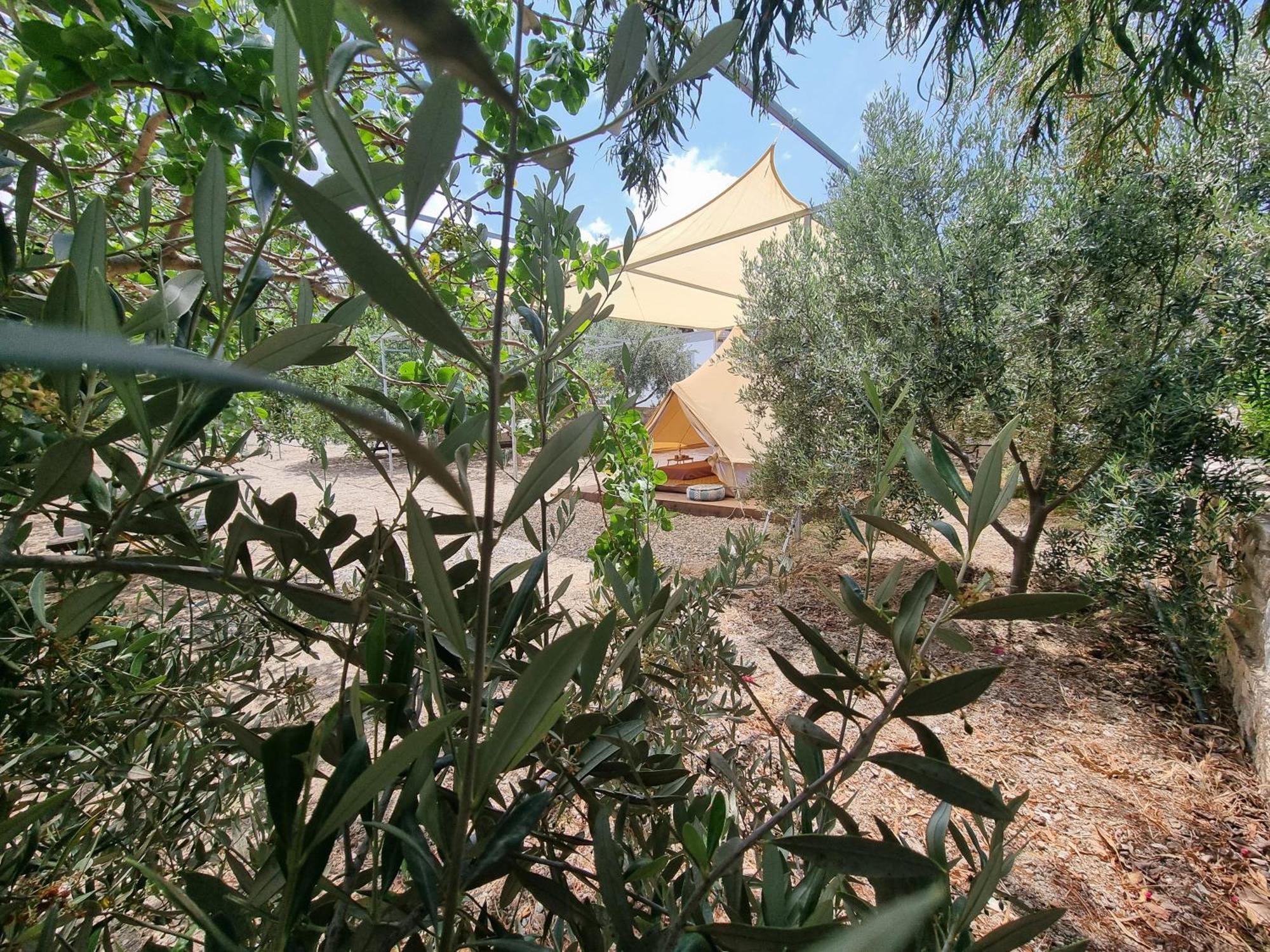 Anassa Cycladic Village Галиссас Номер фото
